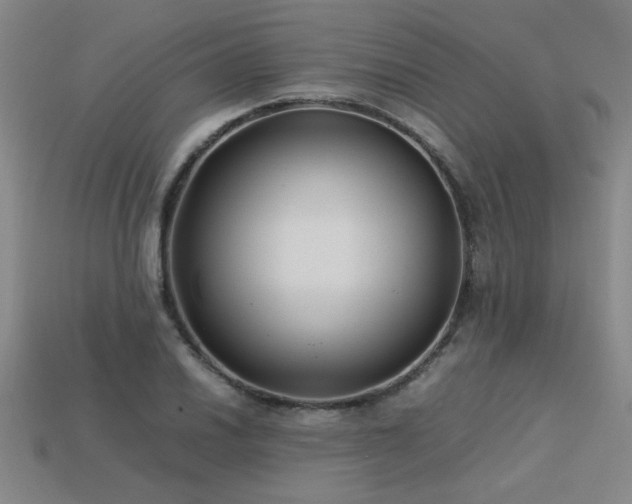 X0000113621030200909181435