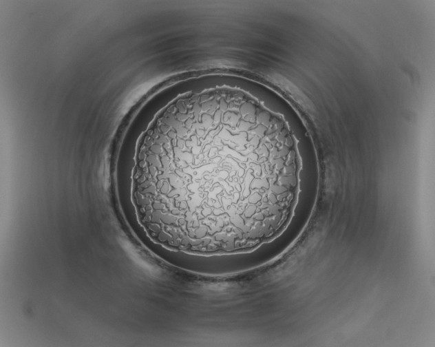 X0000113621031200909181435