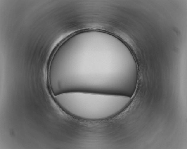 X0000113621032200909181435