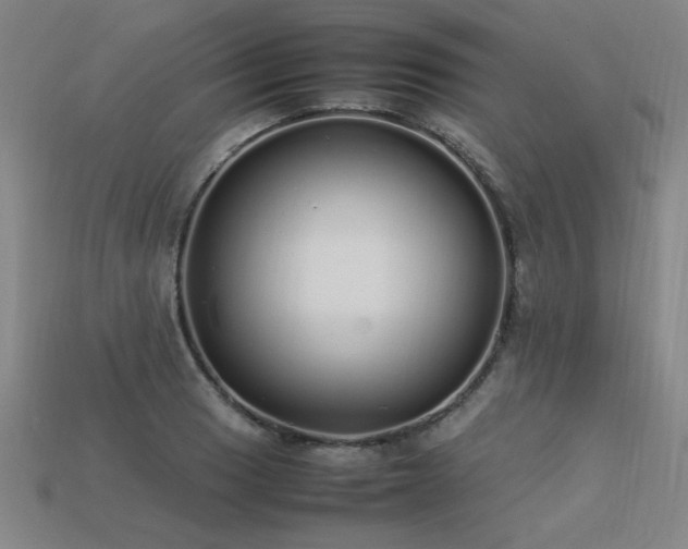 X0000113621033200909181435