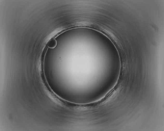 X0000113621034200909181435