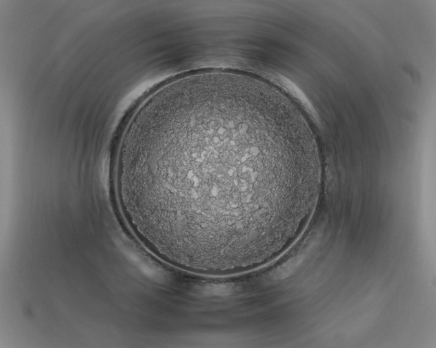 X0000113621035200909181435