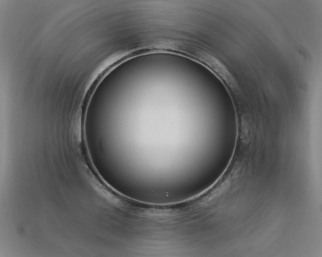 X0000113621036200909181435