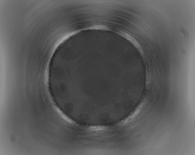 X0000113621037200909181435