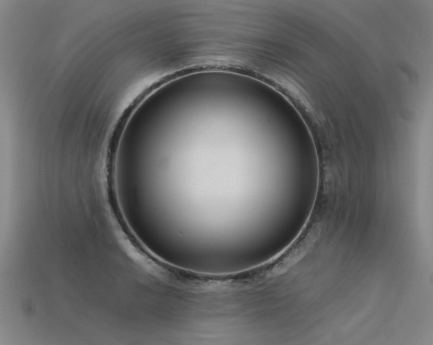 X0000113621038200909181435