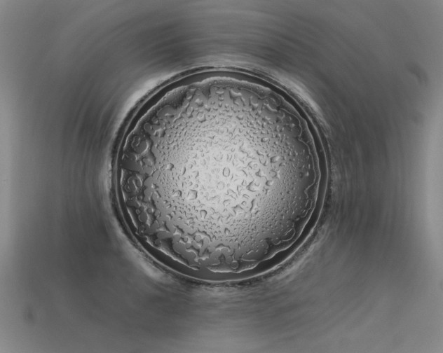 X0000113621040200909181435