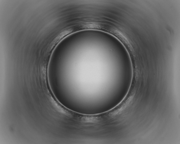 X0000113621041200909181435