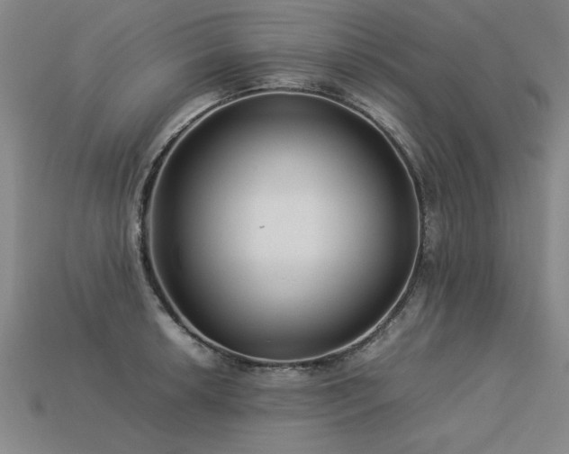 X0000113621042200909181435