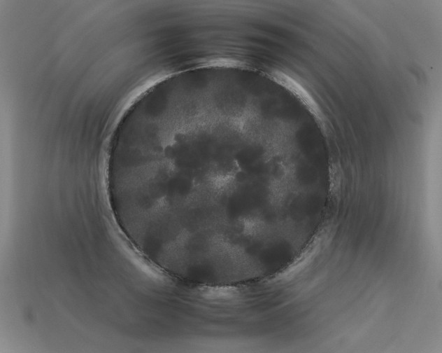 X0000113621043200909181435