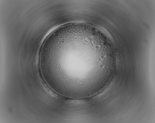 X0000113621044200909181435