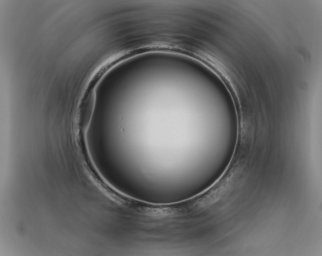 X0000113621045200909181435