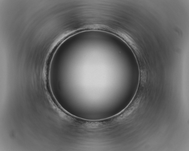 X0000113621046200909181435