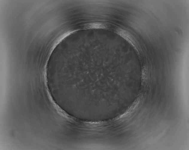 X0000113621047200909181435