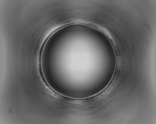 X0000113621048200909181435