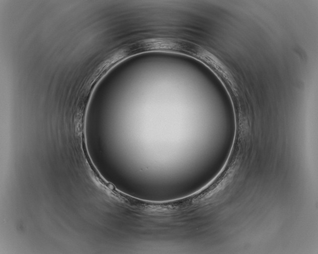 X0000113621049200909181435