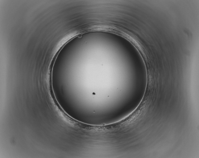 X0000113621050200909181435