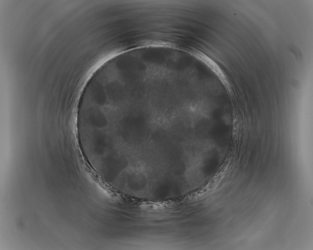 X0000113621051200909181435