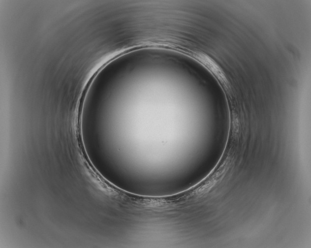 X0000113621052200909181435