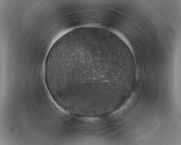 X0000113621053200909181435