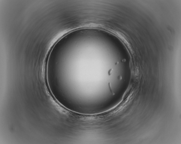 X0000113621054200909181435