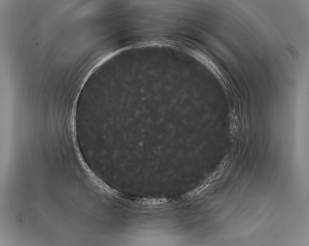 X0000113621055200909181435