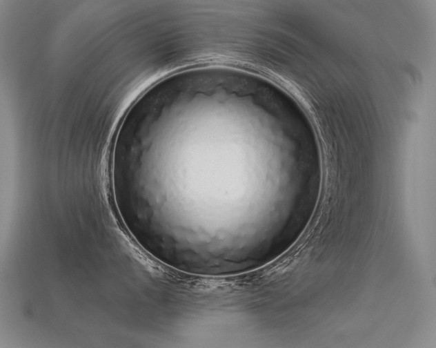 X0000113621056200909181435