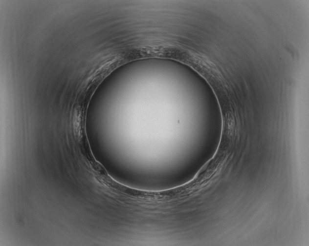 X0000113621060200909181435