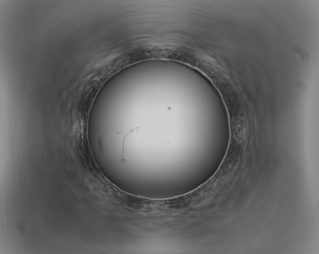 X0000113621061200909181435