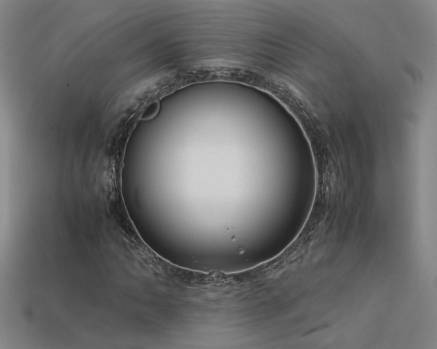 X0000113621062200909181435