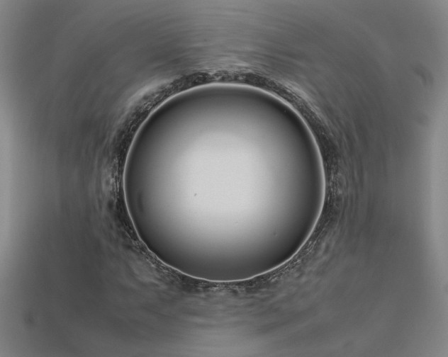 X0000113621063200909181435