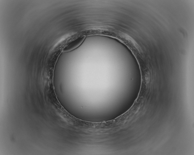 X0000113621064200909181435