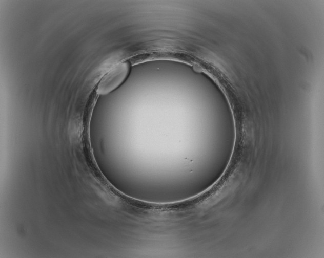 X0000113621065200909181435