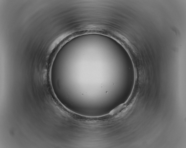 X0000113621066200909181435