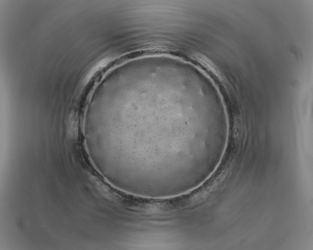 X0000113621067200909181435