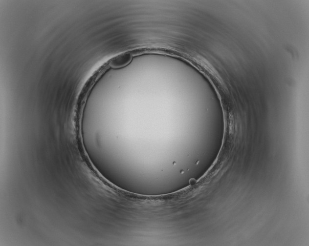 X0000113621068200909181435