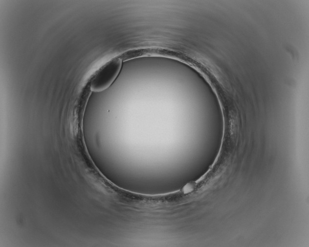 X0000113621069200909181435