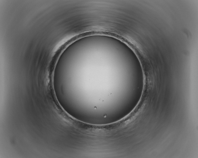 X0000113621070200909181435