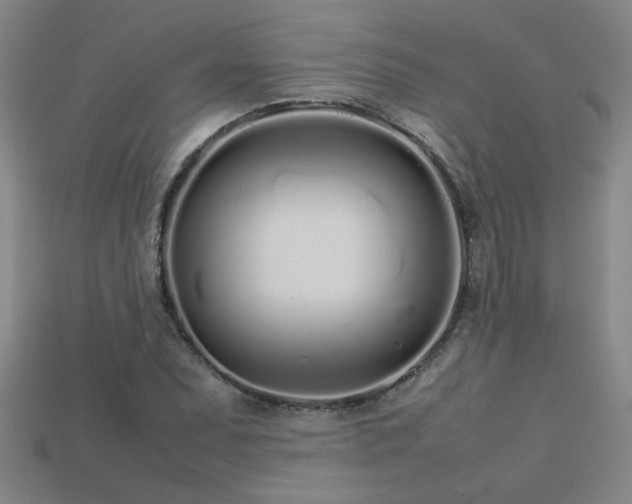 X0000113621071200909181435