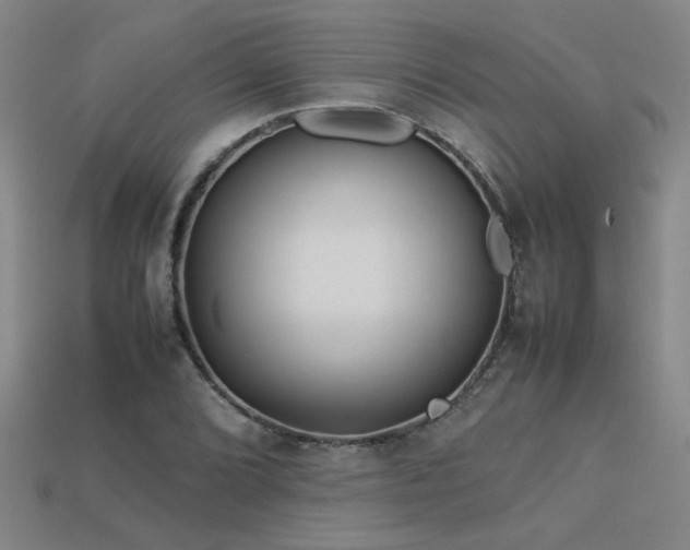 X0000113621072200909181435