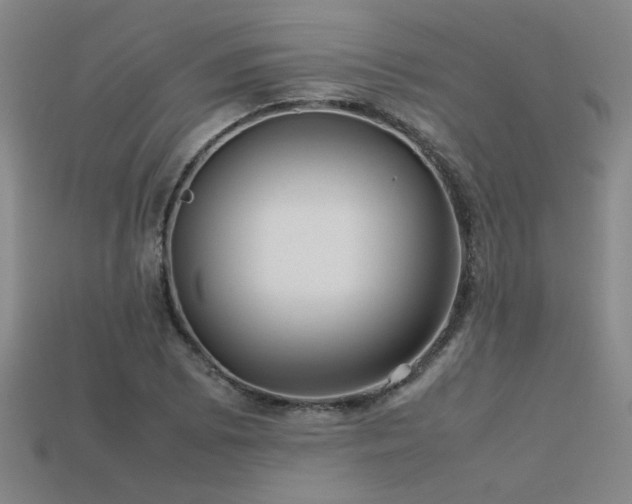 X0000113621073200909181434