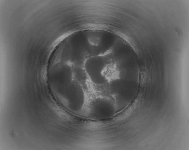 X0000113621074200909181434