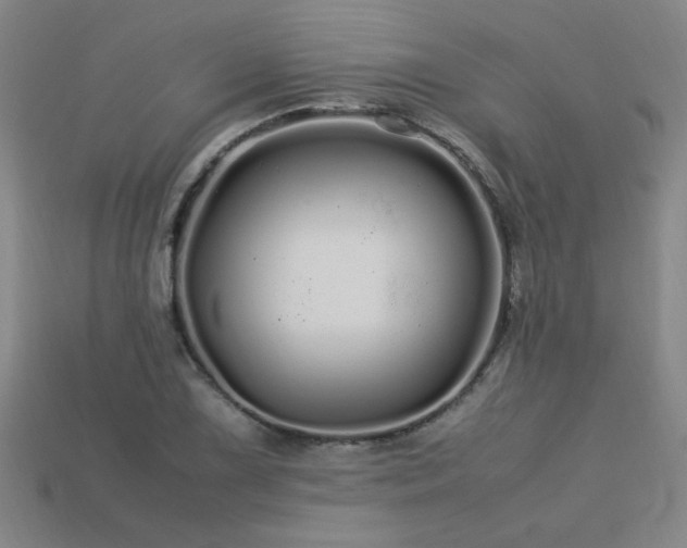 X0000113621075200909181434