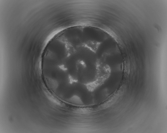 X0000113621078200909181434