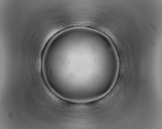 X0000113621079200909181434