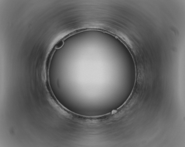 X0000113621080200909181434