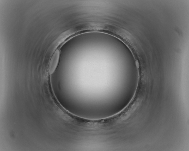 X0000113621081200909181434