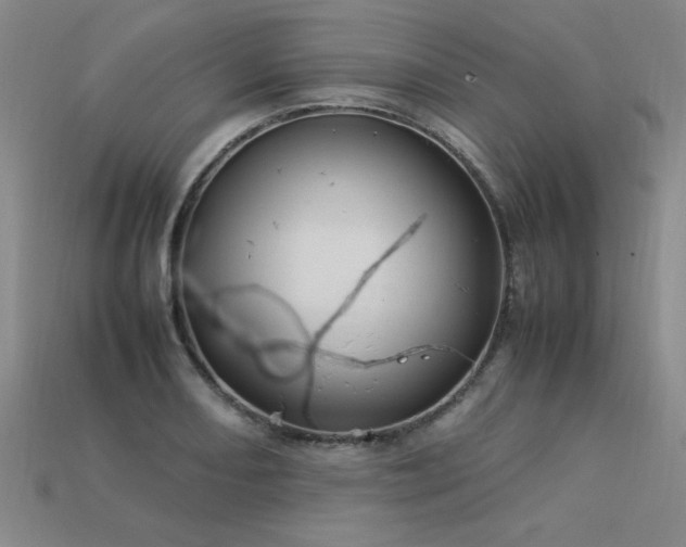 X0000113621082200909181434