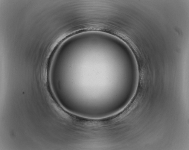 X0000113621083200909181434