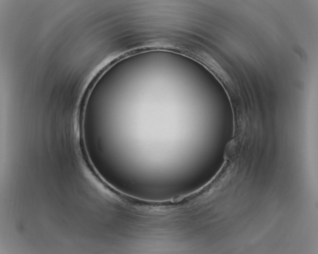 X0000113621084200909181434