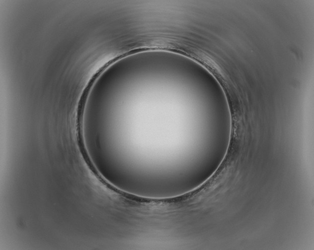 X0000113621087200909181434